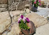 Wesley House Holiday Cottages Hotels in Redruth