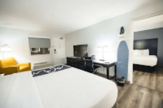 La Quinta Inn by Wyndham Tampa Near Busch Gardens Hotels in 