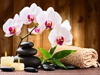 Favehotel Padjajaran Bogor - spa