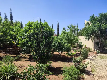 Riad Bini-Ddik Отели в г. Бузама