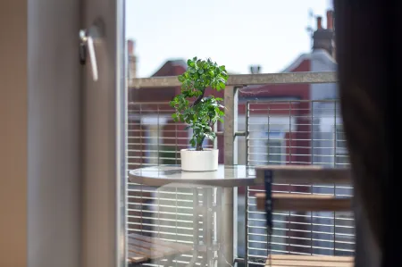 The South Wimbledon Collection