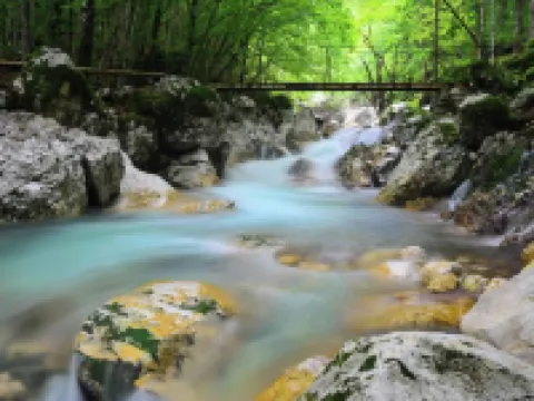 Soča Home with the View Hotels in Soca