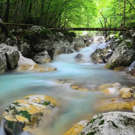 Soča Home with the View