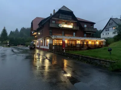 Hotel Faller Hôtels à : Hinterzarten