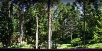 Chalets do Vale - Mountain view
