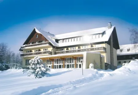 Hotel Haus am Ahorn Отели в г. Фалькенштайн