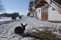 Geinberg Suites & Via Nova Lodges Hotels in Lambrechten