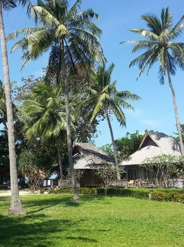 รูปภาพของนิว โอโซน รีสอร์ท แอนด์ สปา