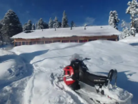 Roseland Cottage , Gulmarg
