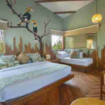Tadoba Jungle Camp Rooms