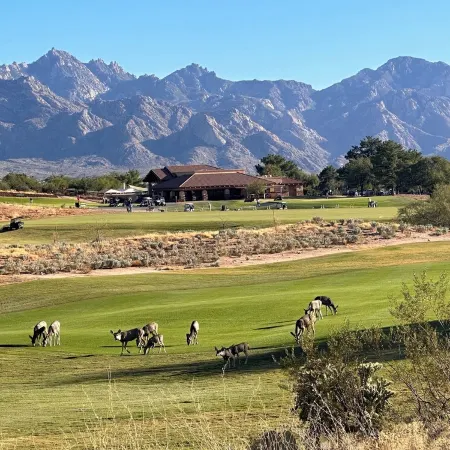 Resort Golf Course Living With Amazing Golf and Mountain Views