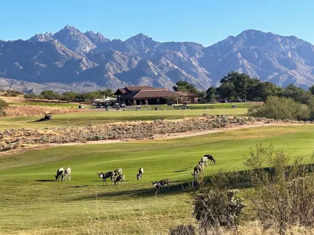 Resort Golf Course Living With Amazing Golf and Mountain Views