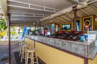 Ocean View Lanai and Exciting Daily Activities - Gorgeous Coastal Haven