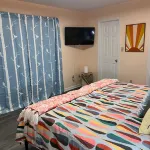 Unique Decor and Inspiring Ambiance - Vibrant Groovy Oasis Hotels in Leon County