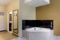 Comfort Inn & Suites Amarillo East - Kylpyammeita