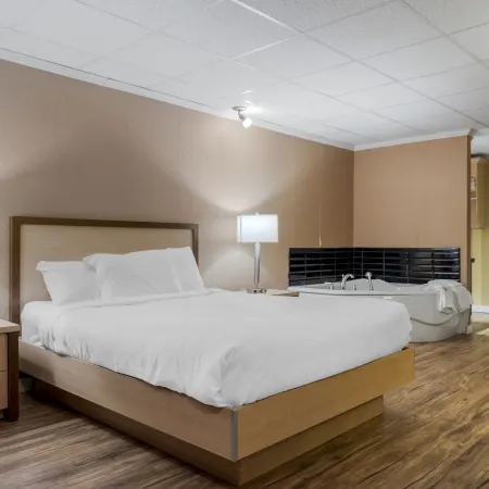 Econo Lodge Inn & Suites