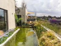 كونا ديل شيلو