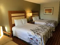 Peach Tree Inn