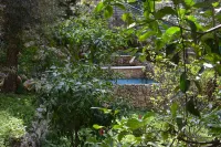 Monteverde Hotel Các khách sạn ở Shemlan