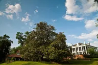 Dunleith Historic Inn Hotel a Natchez