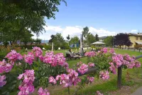 Piccolo Orso Bruno Hotels in Cavareno