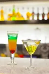 Bulnes Eco Suites - bar