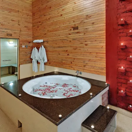 Bravia Hotel Manali Inn