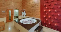 Bravia Hotel Manali Inn - spa