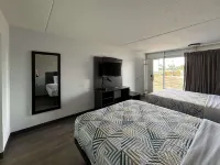 موتل 6 ريتشمون، نكي - إيكو كامبوس أريا