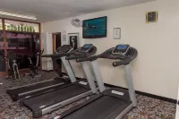Sunbird Capital - Gym