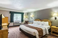 Quality Inn Hotels in Buffalo
