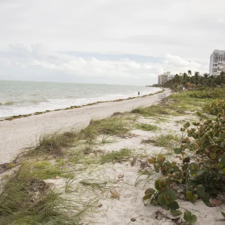 Coral Reef at Key Biscayne