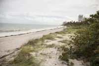 Coral Reef at Key Biscayne Hotel a Key Biscayne