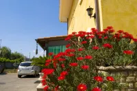 Hotel California Hotel a Ariccia