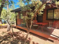 BRAND NEW CUSTOM BUILT HOME WITH AC! FENCED FOR YOUR PUPS!