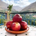 Riad Atlas 4 Seasons - Mountain view