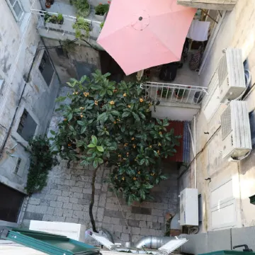 Malena Palace Experience