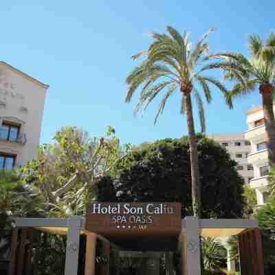 Son Caliu Apartamentos Hotel Exterior