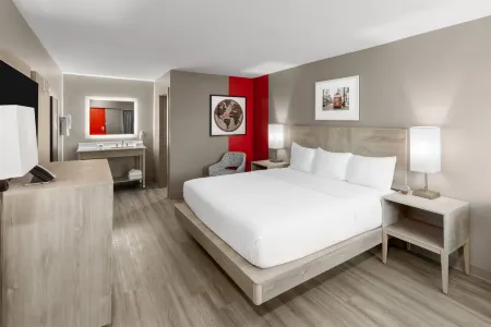 Ramada by Wyndham Kenner/New Orleans Airport South Отели в г. Лулинг