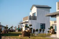 Suno Stay - Cavo