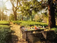 Infinitea Dakbunglow Palampur Hotels in Palampur