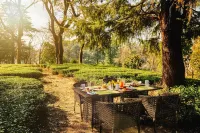 Infinitea Dakbunglow Palampur Hotels in Palampur