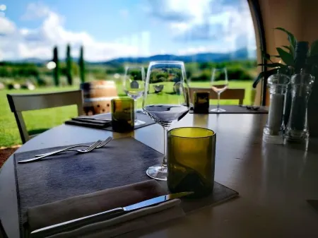 Locanda Dell'Aioncino Отели рядом с достопримечательностью «Bibbona»