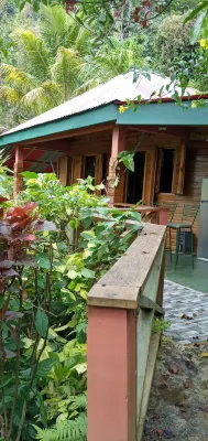 Berkey's Jungle Paradise Hotels in 