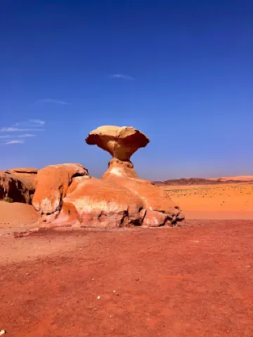 Wadi Rum Boutique Camp & Jeep Tour Hotels near Mount Lamlam