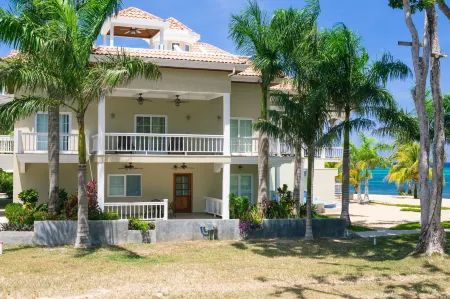 Lawson Rock - Angelfish 100