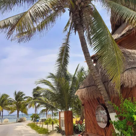 Palmeras de Mahahual Cabañas