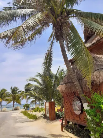 Palmeras de Mahahual Cabañas