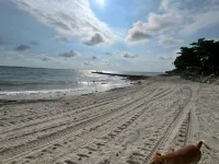 Mahanaim Beach House 20 min from CTG Hôtels à : Bocachica