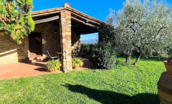 Farmhouse in Tuscany with Olive Grove Views